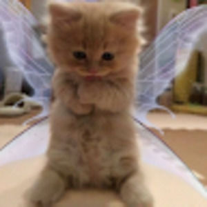 Meet your Posher, Arianna